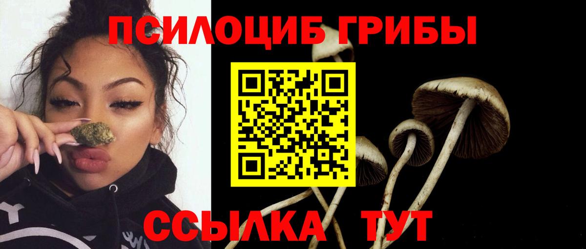 Галлюциногенные грибы GOLDEN TEACHER Сокол